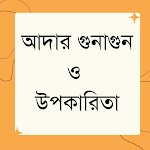 Cover Image of Télécharger আদার গুনাগুন ও অপকারিতা  APK
