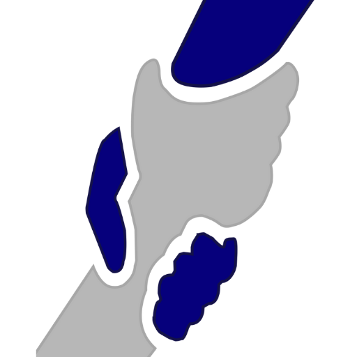 Dr. Rajarams logo