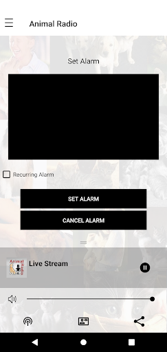 Android application Animal Radio screenshort