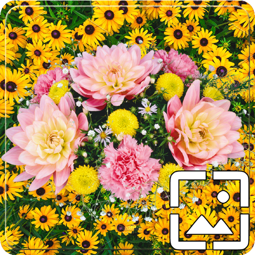 ALL Flowers Wallpapers Hd logo