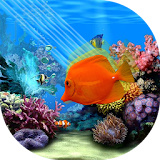 Aquarium Free VR simulator icon