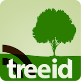 TreeID icon