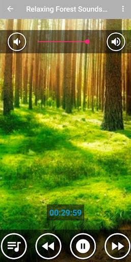 Android application Forest Sound Nature and Sleep screenshort