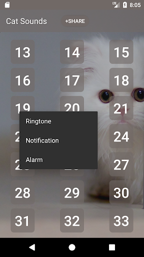 Cat Soundboard Screen 3