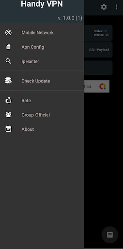 Handy VPN Screen 2