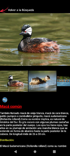 Aves en reserva Screen 2