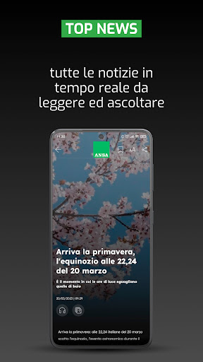 ANSA Screen 3