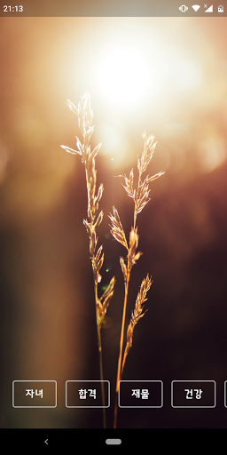미래를 위한 기도