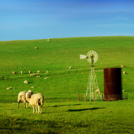 Blue Sky Farm Theme +HOME logo