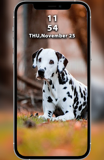 Puppy and Dog Wallpapers Offline