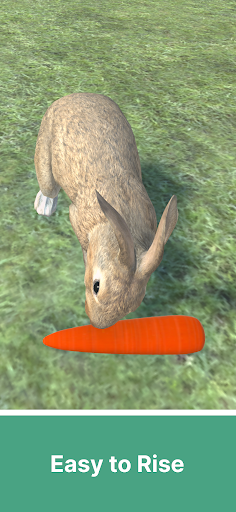 Adopt A Rabbit : Virtual Pet Screen 2