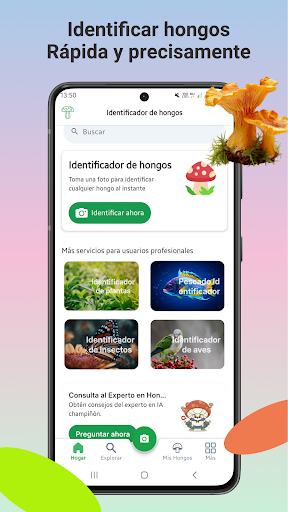 Vista previa de la aplicación