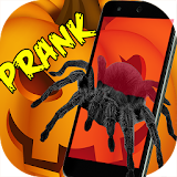 Spider 3D AR Prank Halloween icon