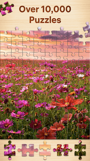 Jigsaw Puzzles - puzzle games apk mod1