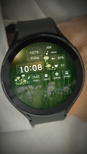 Summer Scene ZKin Watch Screenshot 4 - AppWisp.com