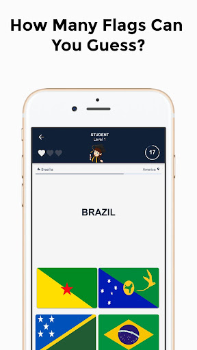 World Flags Trivia Quiz Screen 3