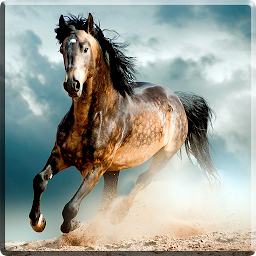 Icon image Horses Video Live Wallpaper