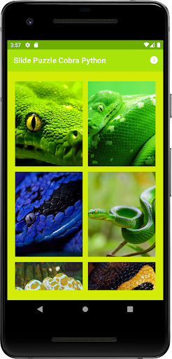 Slide Puzzle Python Snakes