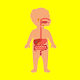 Learning body parts for kids offline flashcards دانلود در ویندوز