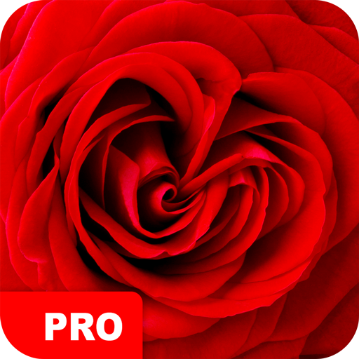 Rose Wallpapers PRO 5.7.91 Icon