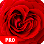 Cover Image of Download Rose Wallpapers PRO  APK