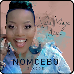 Cover Image of Télécharger All Nomcebo Zikode Song 1.0 APK