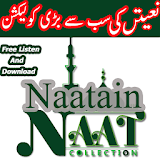 Naats Mp3 icon