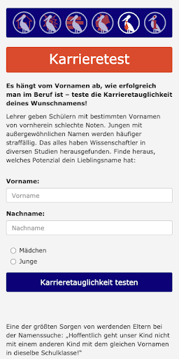Horstomat screenshot 6