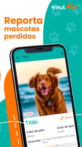 Find Pet Test Screen 3