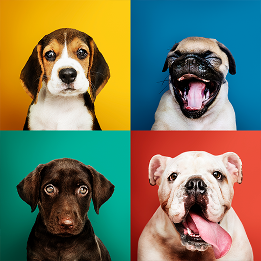 Dog Sounds logo