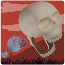 Skull Dash 9 APK Download