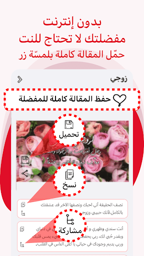 ليدي بيرد كتاباتنا وتصاميمنا Screen 2