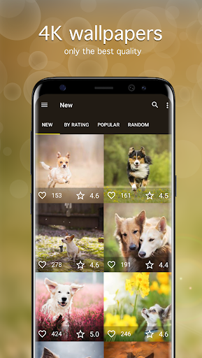 Dog Wallpapers & Puppy 4K Screen 2