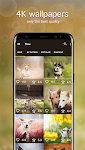 screenshot of Dog Wallpapers & Puppy 4K