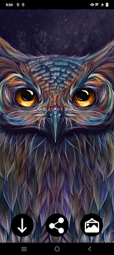 Owl Wallpapers: Night predator Screen 3