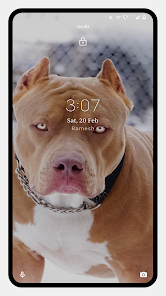 Pitbull Dog Wallpaper App Store Data & Revenue, Download Estimates on Play  Store
