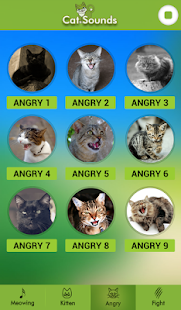 Cat Sounds(圖4)-速報App