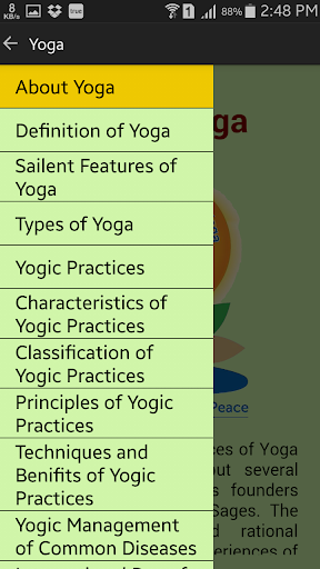 Yoga Screen 2