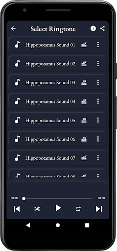 Hippopotamus Sounds Screen 3