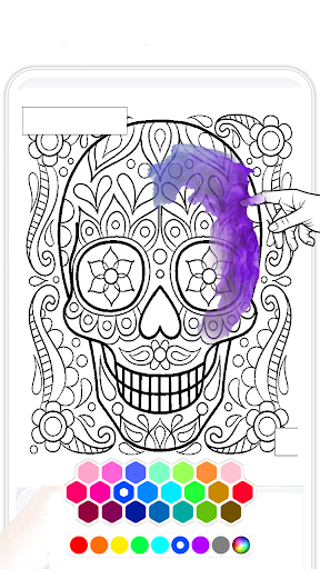Skeleton Anatomy Coloring Book