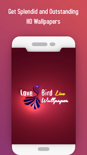 Android application Love bird Live wallpaper screenshort