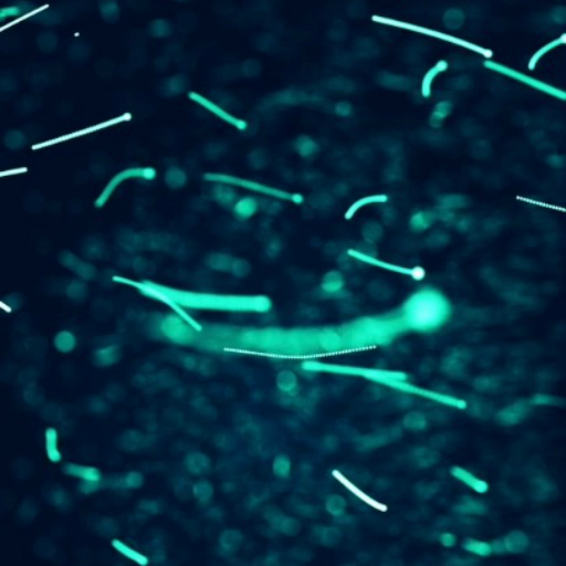 Neon Particles Live Wallpaper logo