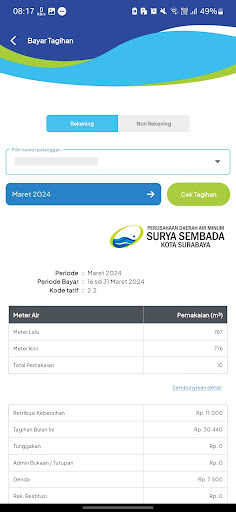 Customer Information System Screen 3