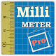 Millimeter Pro - screen ruler, protractor, level Download on Windows