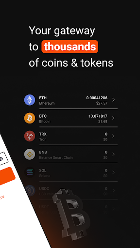 Dok Wallet Screen 2