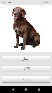Arabische Wörter lernen mit ST