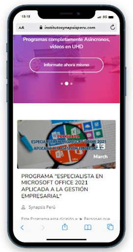 Instituto Synapsisperu