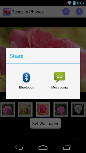 Phone Wallpaper of Roses Screen 3