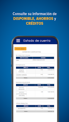 CoopeHacienda Screen 3