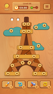 Wooden Screw: Nuts and Bolts 1